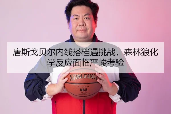 唐斯戈贝尔内线搭档遇挑战，森林狼化学反应面临严峻考验